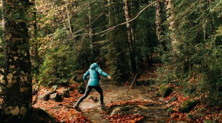 ¿Buscas disfrutar del paisaje otoñal? Te traemos las mejores rutas senderistas