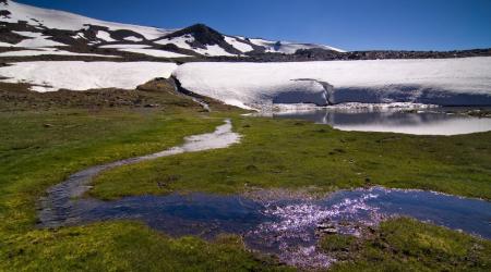 Crédito:  Festival de Ecoturismo de Sierra Nevada