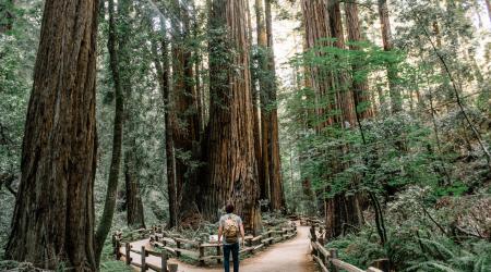 Crédito: Aire Libre Expo 