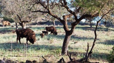 Crédito: FERNANDO MORÁN