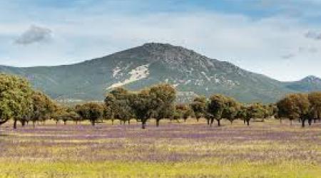 Montes de Toledo, Castilla-La Mancha //  Crédito: wikipedia