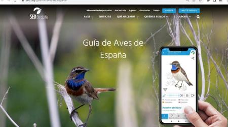 SEO/BirdLife incorpora 88 nuevas especies a su guía de aves