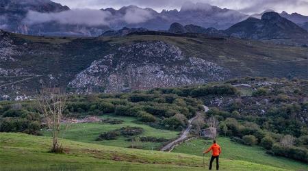 Crédito: Principado de Asturias