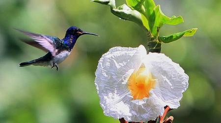 Crédito: EFE/Alejandro Bolívar