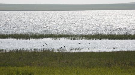 Crédito: Palencia Turismo 