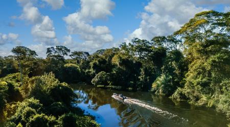 La mitad de la Amazonía podría desaparecer en 2050, alterando el clima de la Tierra