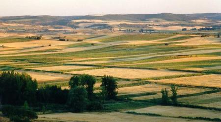 Facebook Comarca Mancha Júcar-Centro, Albacete 