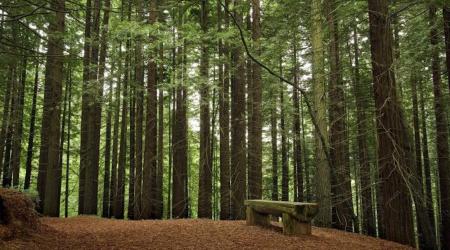 pueblosdecantabria.net