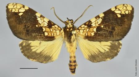 © Servicio Nacional de Áreas Naturales Protegidas por el Estado (Sernanp)