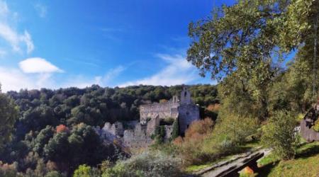 Jardín Botánico Santa Catalina 