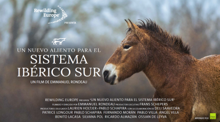 Cortometraje ‘Breathing new life into the Iberian Highlands’ 