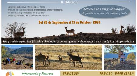 LLega la Berrea al Parque Natural de la Serranía de Cuenca en su X Edición