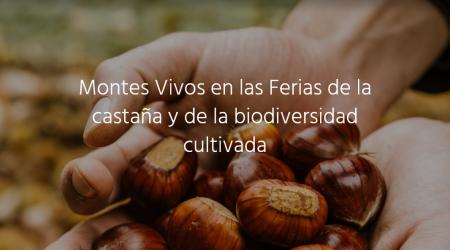 MONTES VIVOS Un proyecto para compatibilizar e integrar la biodiversidad en sistemas forestales para el fomento del desarrollo rural