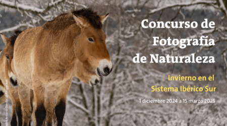 Primera edición del Concurso de Fotografía de Naturaleza ‘Invierno en el Sistema Ibérico Sur’