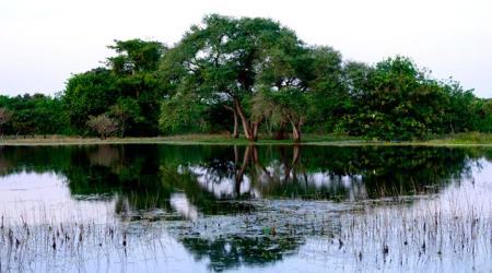 Parque Nacional de Orengo