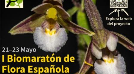 Cartel de la primera Biomaratón de la Flora Española