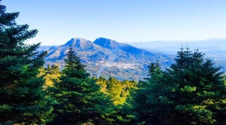 Parque Nacional Sierra de las Nieves en Mñalaga