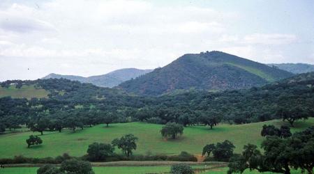  Sierra de Aracena y Picos de Arcohe 