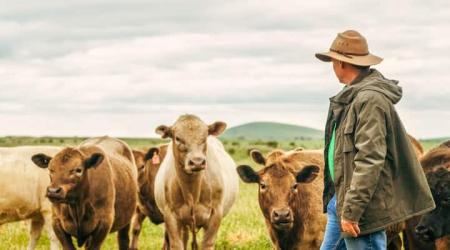 Naciones Unidas lanza Star: herramienta para ayudar a los destinos rurales