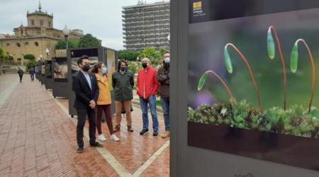 Naturaleza en La Rioja, concurso fotográfico //  Crédito: actualidadlarioja