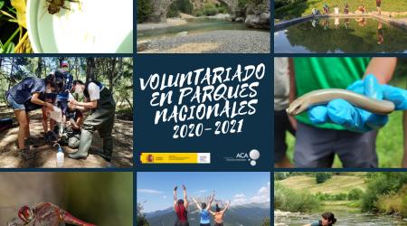 Cartel Voluntariado en Parques Nacionales 2021 