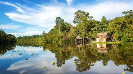 Pueblos indígenas de la Amazonía luchas por evitar la deforestación 