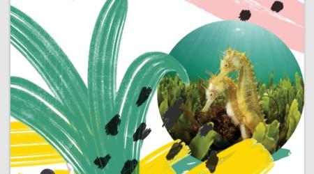  Cartel 'Naturalmente Conectados' 