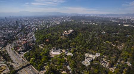  Bosque de Chapultepec en la Ciudad de México 