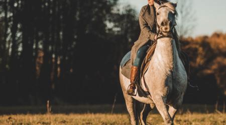 Especialistas proponen que regrese el caballo como medio de trasporte sostenible