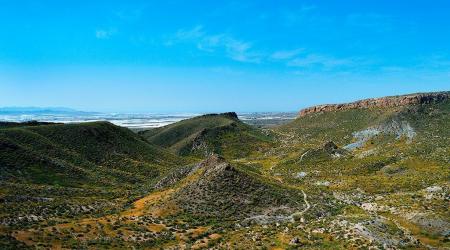 Hoyazo de Níjar (Almería) 