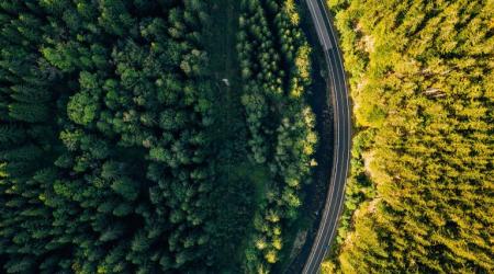 Frenar la deforestación es imprescindible para detener el cambio climático 