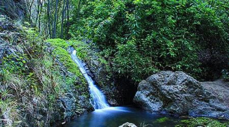 Reserva Natural Especial de Azuaje en Gran Canaria // Crédito: canariarural.com