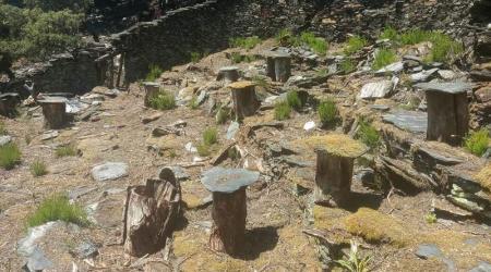 Hallazgo de 16 colmenares en León // Crédito: diariodeleon.es Hallazgo de 16 colmenares en León // Crédito: diariodeleon.es