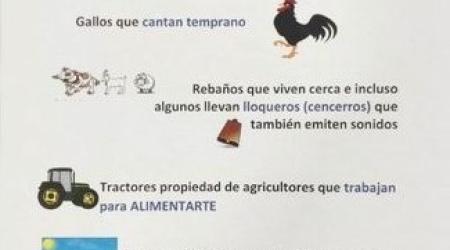 Cartel del Ayuntamiento de Ribadesella.  Cartel del Ayuntamiento de Ribadesella.