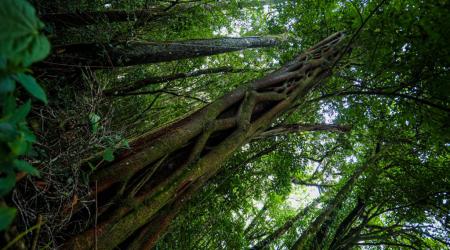 Leyendas sobre espacios naturales de España 