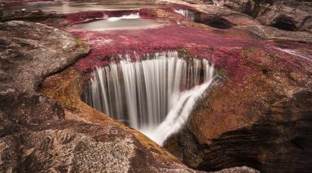 Caño Cristales en La Macarena, Colombia // Crédito: laderasur.com