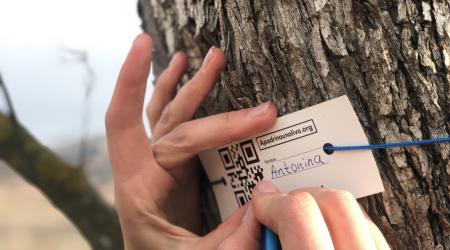 Proyecto Apadrinaunolivo  Proyecto Apadrinaunolivo