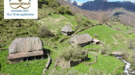 NatureWatch Somiedo // Crédito: twitter  NatureWatch Somiedo // Crédito: twitter
