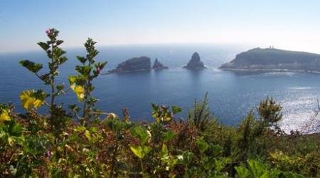 Parque Natural Ribera Valenciana