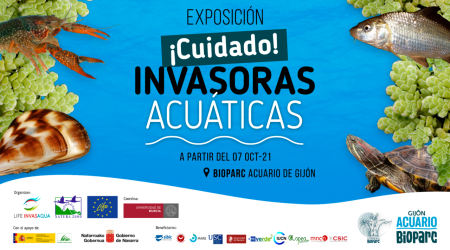 Cuidado, Invasoras Acuáticas //  Crédito: migijon