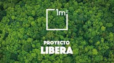 Proyecto Libera