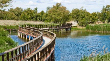 Parque Nacional de las Tablas de Damiel 