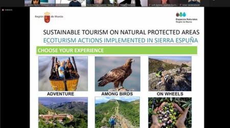 Jornada virtual entre Murcia - Bélgica //  Crédito: murcia.com