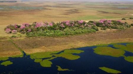 Parque Nacional Iberá, Argentina