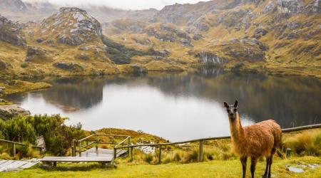 Parque Nacional Cajas, Ecuador // Crédito:wikipedia