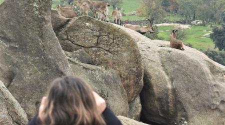 NatureWatch Madrid 2021