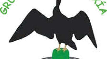 Grupo  de Ornitología Mavea // Crédito: facebook