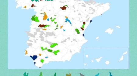 Mapa 2022 Proyecto Liberta 