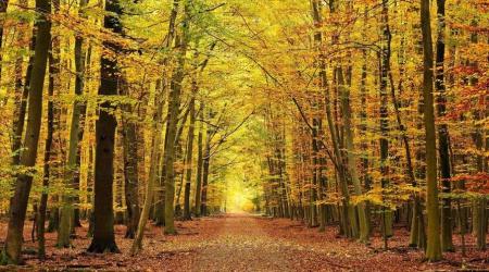 Destino Ambroz-Cáparra en otoño 