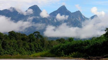 Parque Nacional Cordillera Azul, Perú // Crédito: reddit